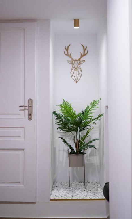 Coban Residence Apartments 브라쇼브 외부 사진